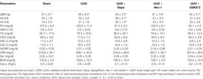 Dapagliflozin Alleviates Renal Fibrosis by Inhibiting RIP1-RIP3-MLKL-Mediated Necroinflammation in Unilateral Ureteral Obstruction